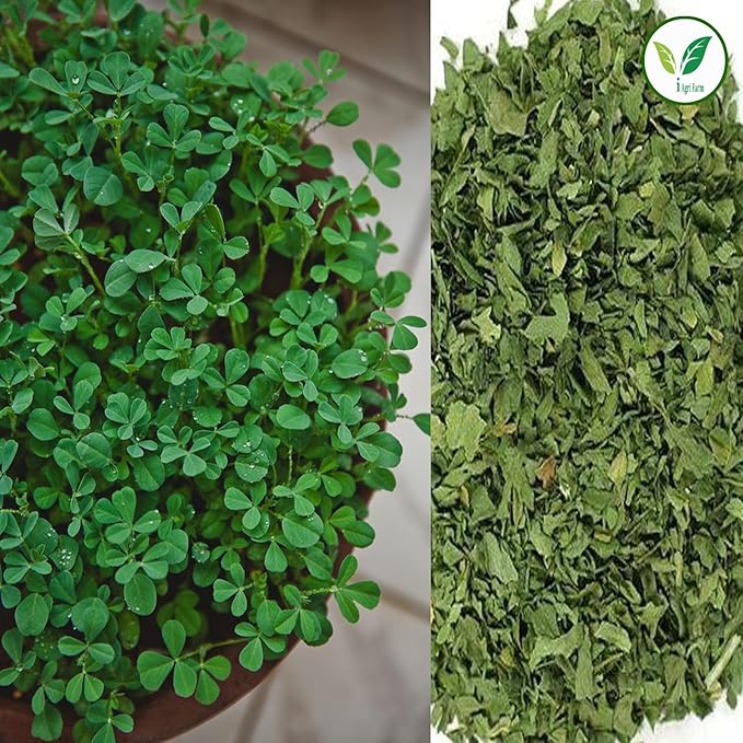 Agri Farm Iagrifarm Fenugreek (Methi) Cultivation Seeds