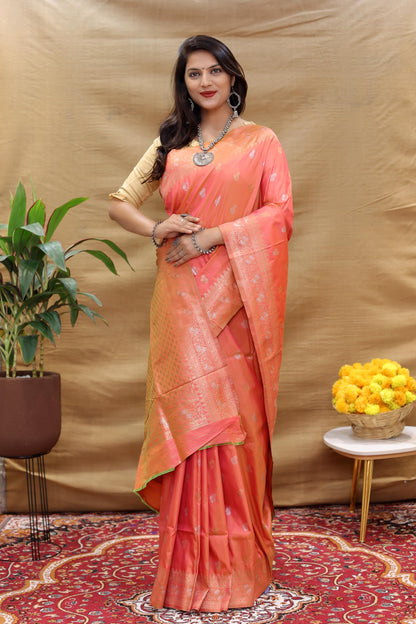 Vasthrlay Classic Traditional Saree for wedding and party wear styling