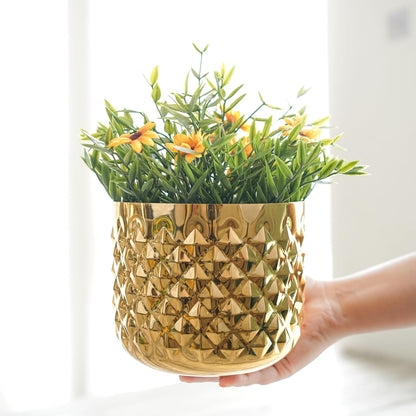 Behoma Metal Indoor Pineapple Texture Golden Planter – PUSHMYCART