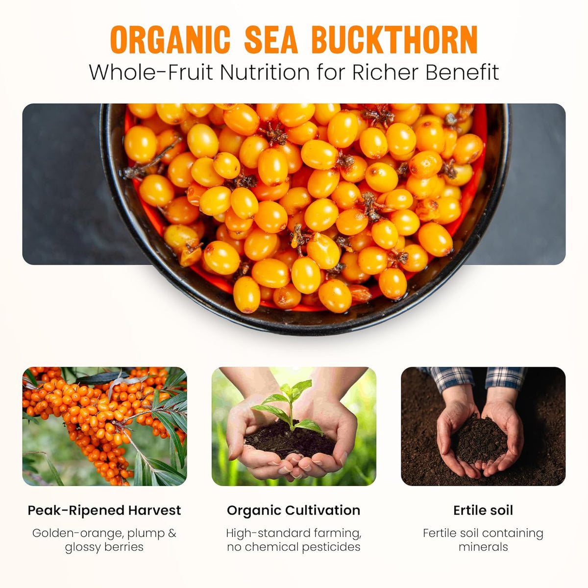 organic Sea Buckthon