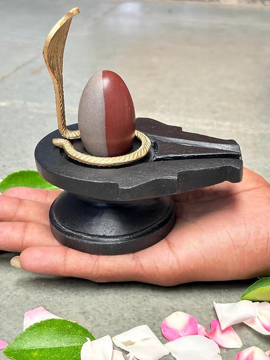 2 Inch Natural Mahakal Narmadeshwar Shivling with Sheshnaag 4 Inch Stone Jaladhari Puja