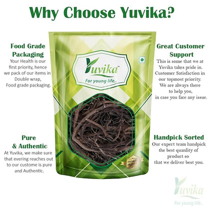 Yuvika Bad ki Dari - Ficus Benghalensis - PUSHMYCART