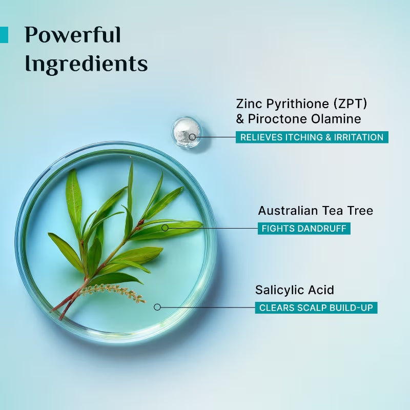 Pilgrim Australian Tea Tree Anti-Dandruff Shampoo