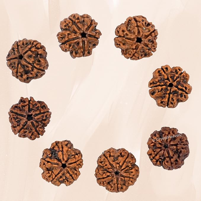 Crystal Heaven 5 Mukhi Rudraksha - PUSHMYCART