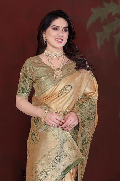 Vasthrlay Classic Traditional Saree for wedding and party wear styling