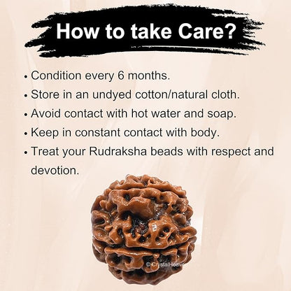 Crystal Heaven 5 Mukhi Rudraksha - PUSHMYCART