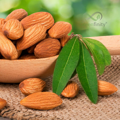 GreenFinity Mixed Dry Fruit (Pack of 3)