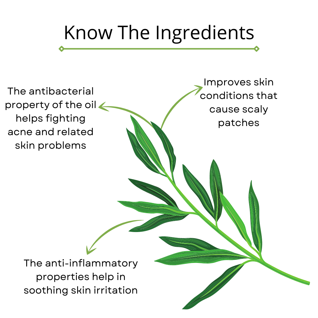 Omorfee India Tea Tree Essential Oil