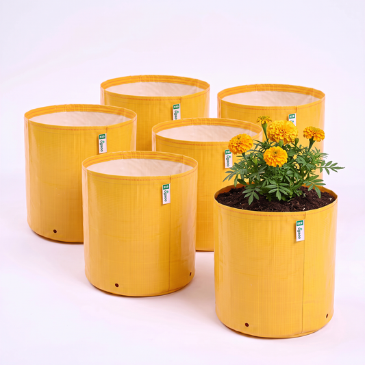 Ugaoo HDPE 260 GSM Round Grow Bags Yellow