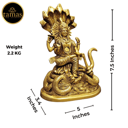 Tamas Brass Vishnu With Naag Statue - PUSHMYCART