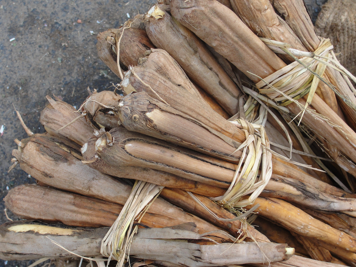 Prakruthi Roasted Palmyra Sprout 500g