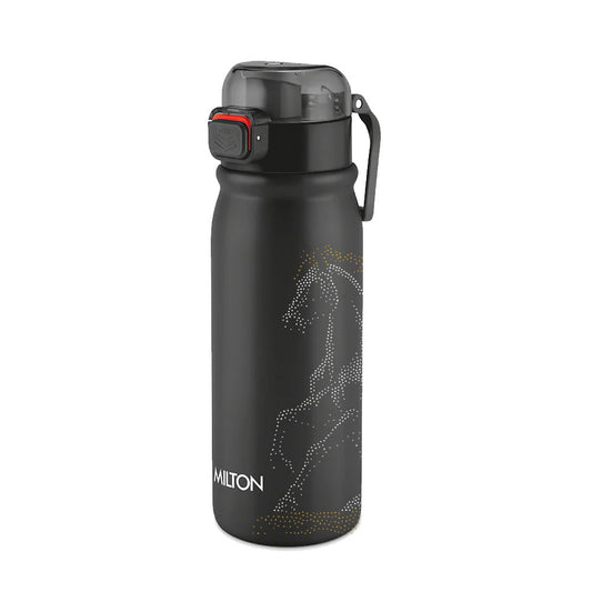 Reva UV Design Stainless Steel Bottle - (Milton)