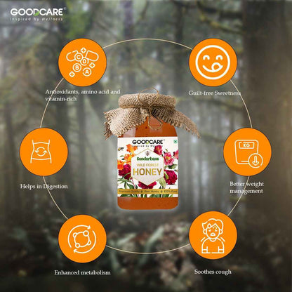 GoodCare Wild Forest Honey Natural
