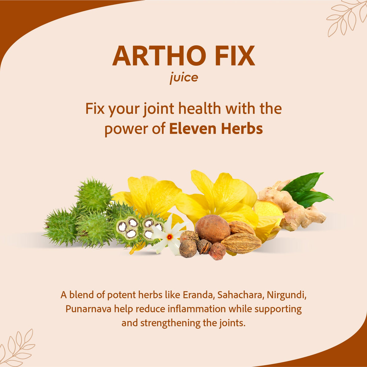 Sri sri tattva artho fix juice - PUSHMYCART