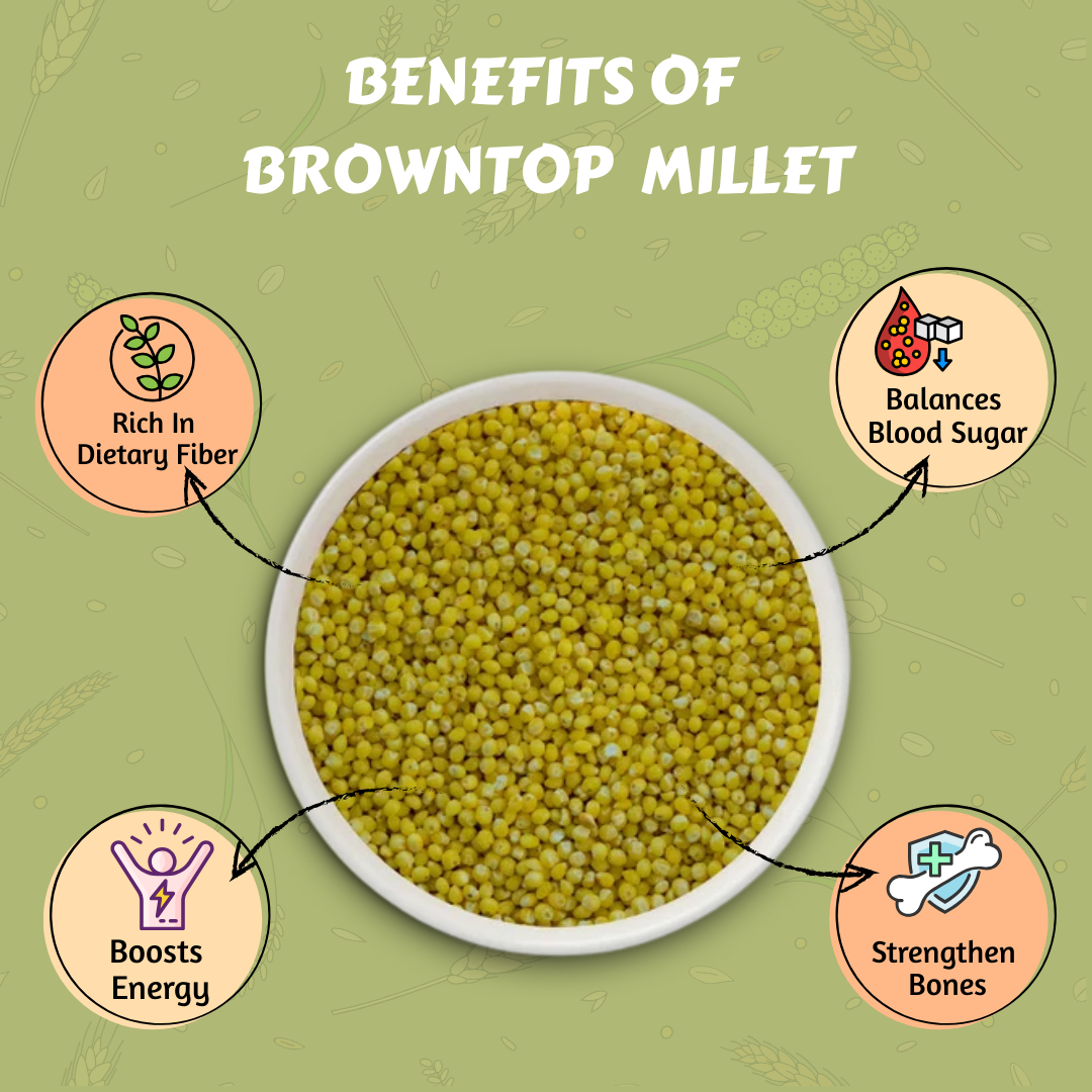 Millet Mania Browntop Millet