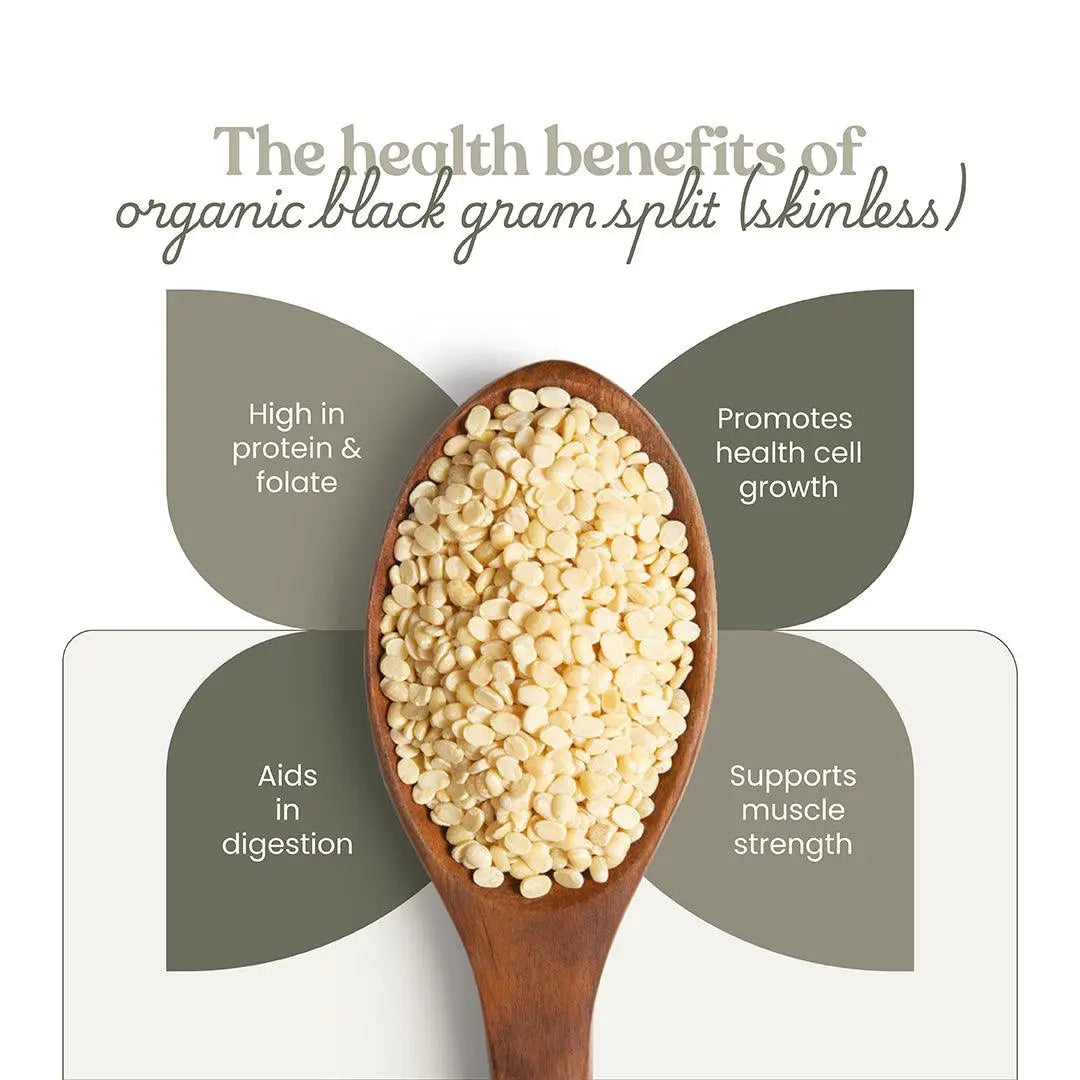 A close-up of Bharat Vedica Organic Black Gram Split Skinless Urad Dal in a bowl, showcasing its pristine quality. - Image 4