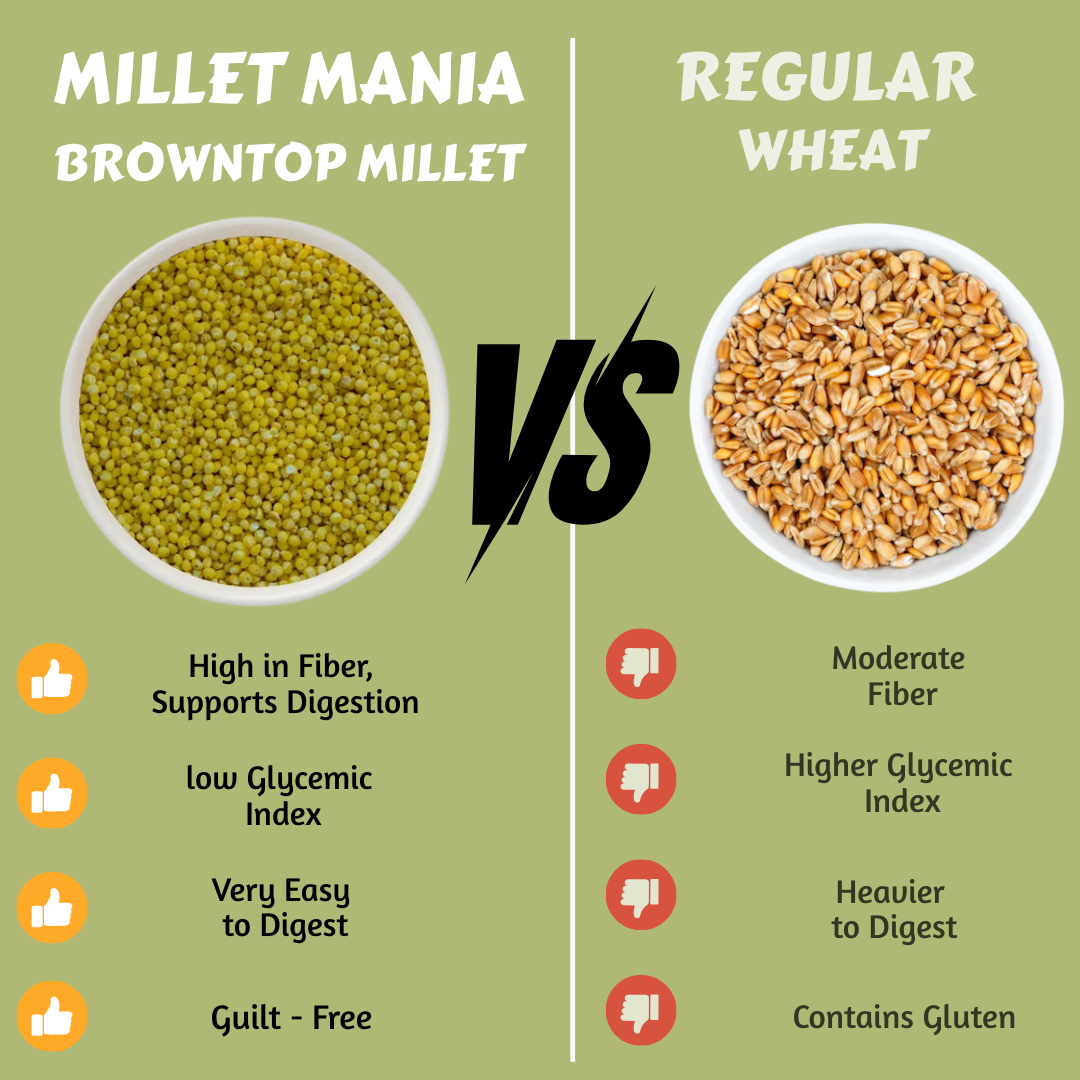 Millet Mania Browntop Millet