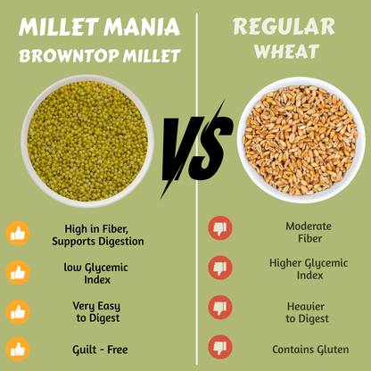 Millet Mania Browntop Millet