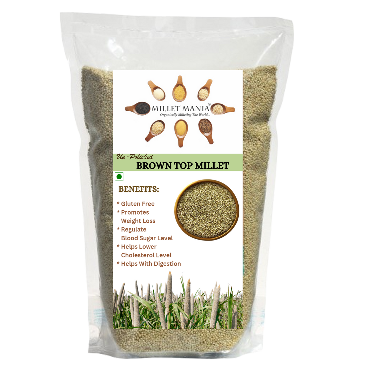 Millet Mania Browntop Millet