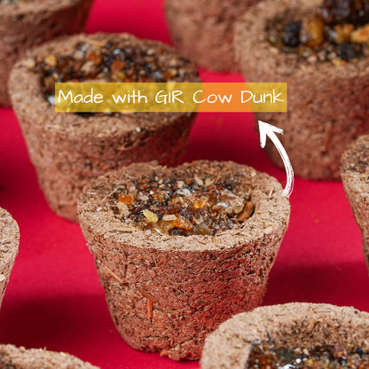 ROSIER Rosier Havan Cups | Bakhoor