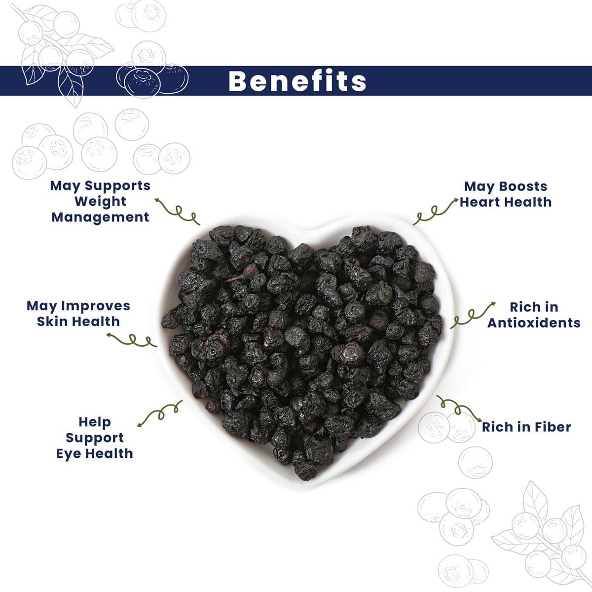 Fabeato Premium Dried Whole Blueberries