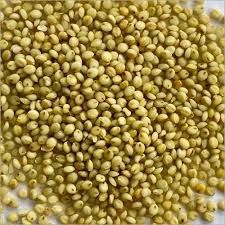 Nutty Yogi Organic High Protein Browntop Millet