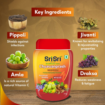 Sri Sri Tattva Chyawanprash 250g - PUSHMYCART