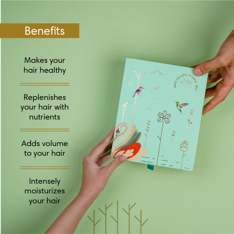 The Earth Collective Volumizing Blend gift box for weak and thinning hair, featuring cleanser and conditioner bottl - Image 3
