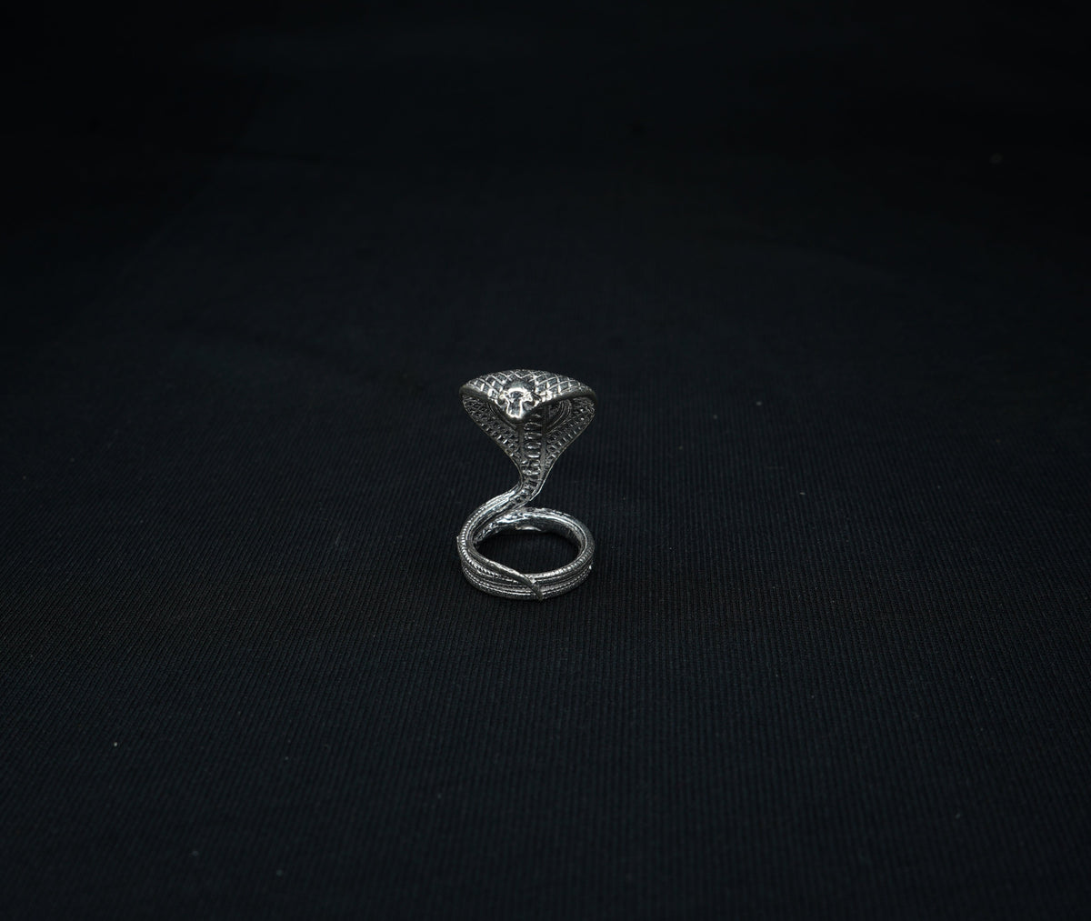 Pure Silver Snake 13g - PUSHMYCART