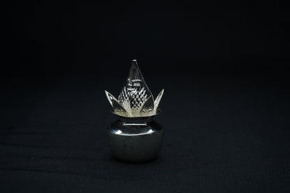 Pure Silver Kalishalu 31g - PUSHMYCART