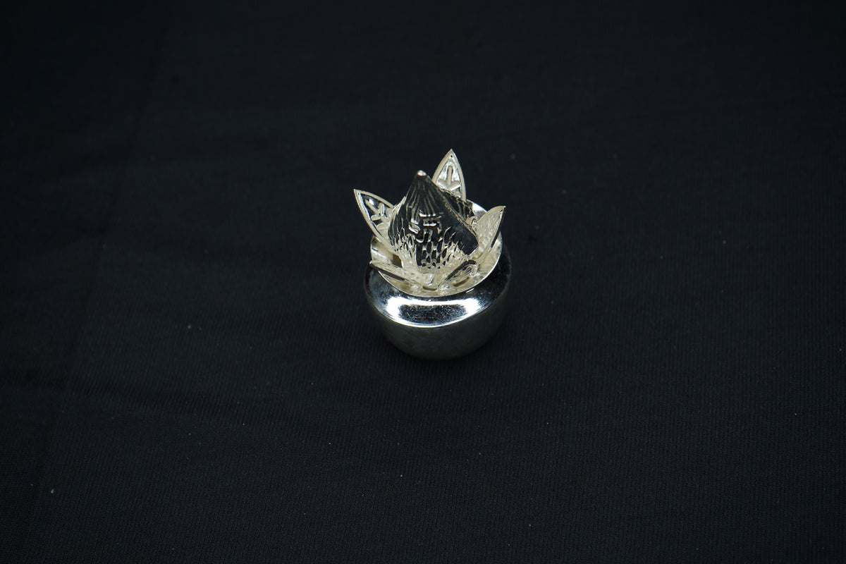 Pure Silver Kalishalu 31g - PUSHMYCART