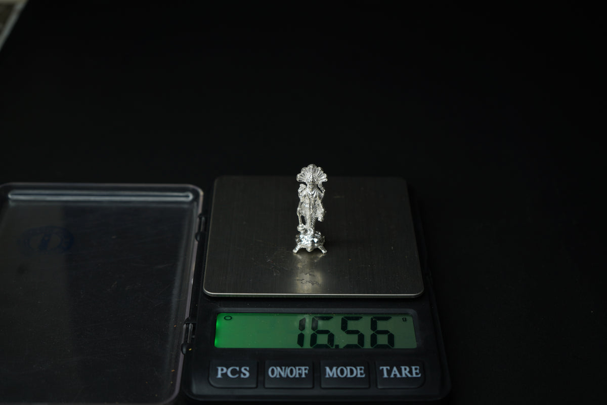 Pure Silver Vishnu Murthy 16.57 grams - PUSHMYCART