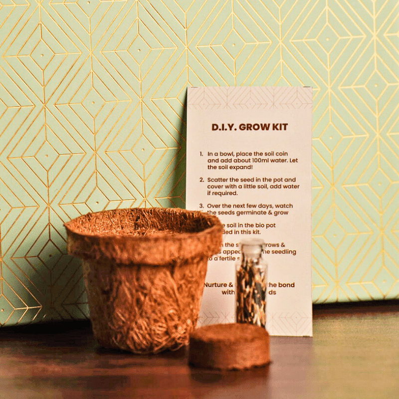 Omay Foods Eco Joy Diwali Gift Box