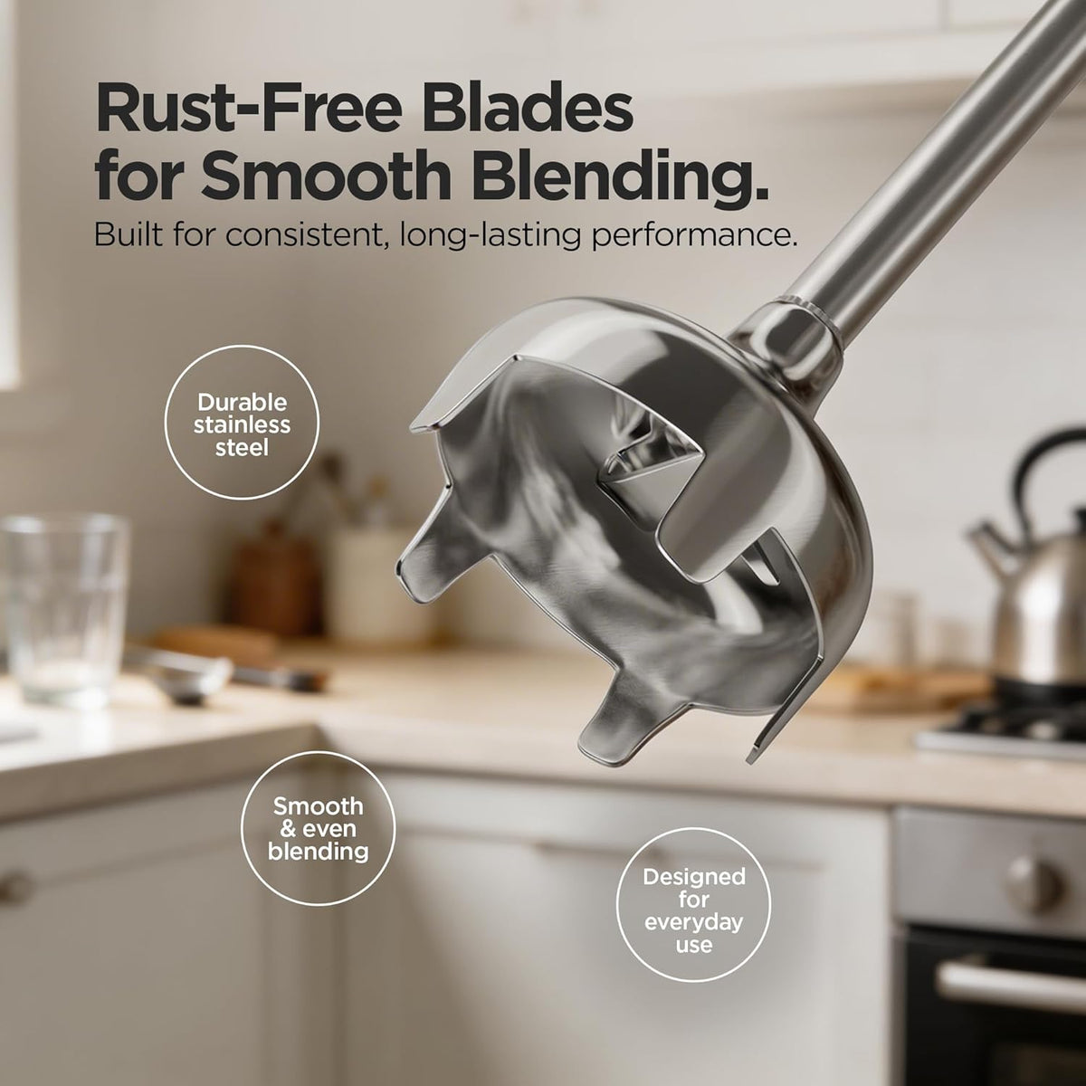 Preethi Blue Leaf Diamond Mixer Grinder and Hand Blender Combo