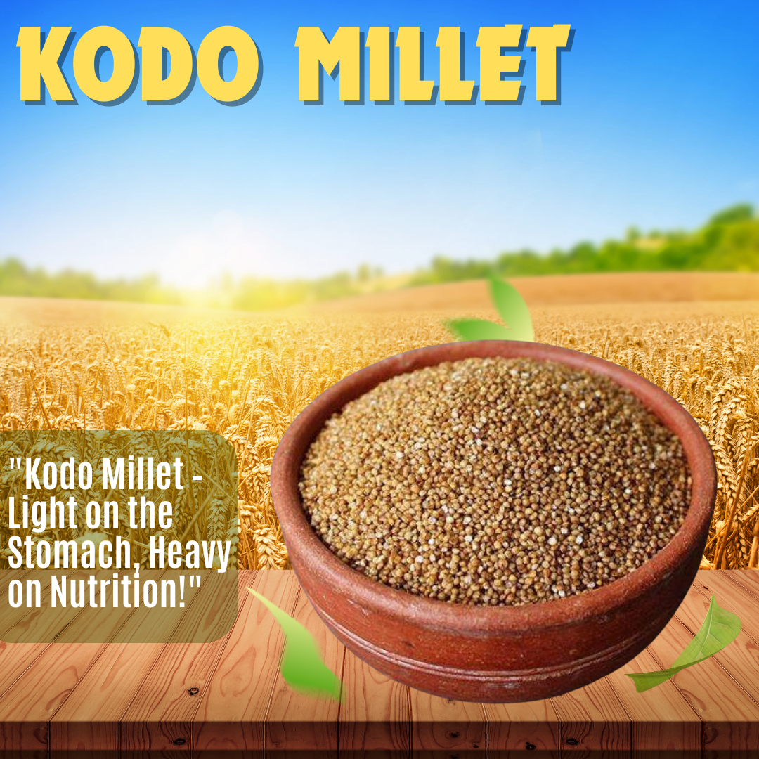 Millet Mania Kodo Millet