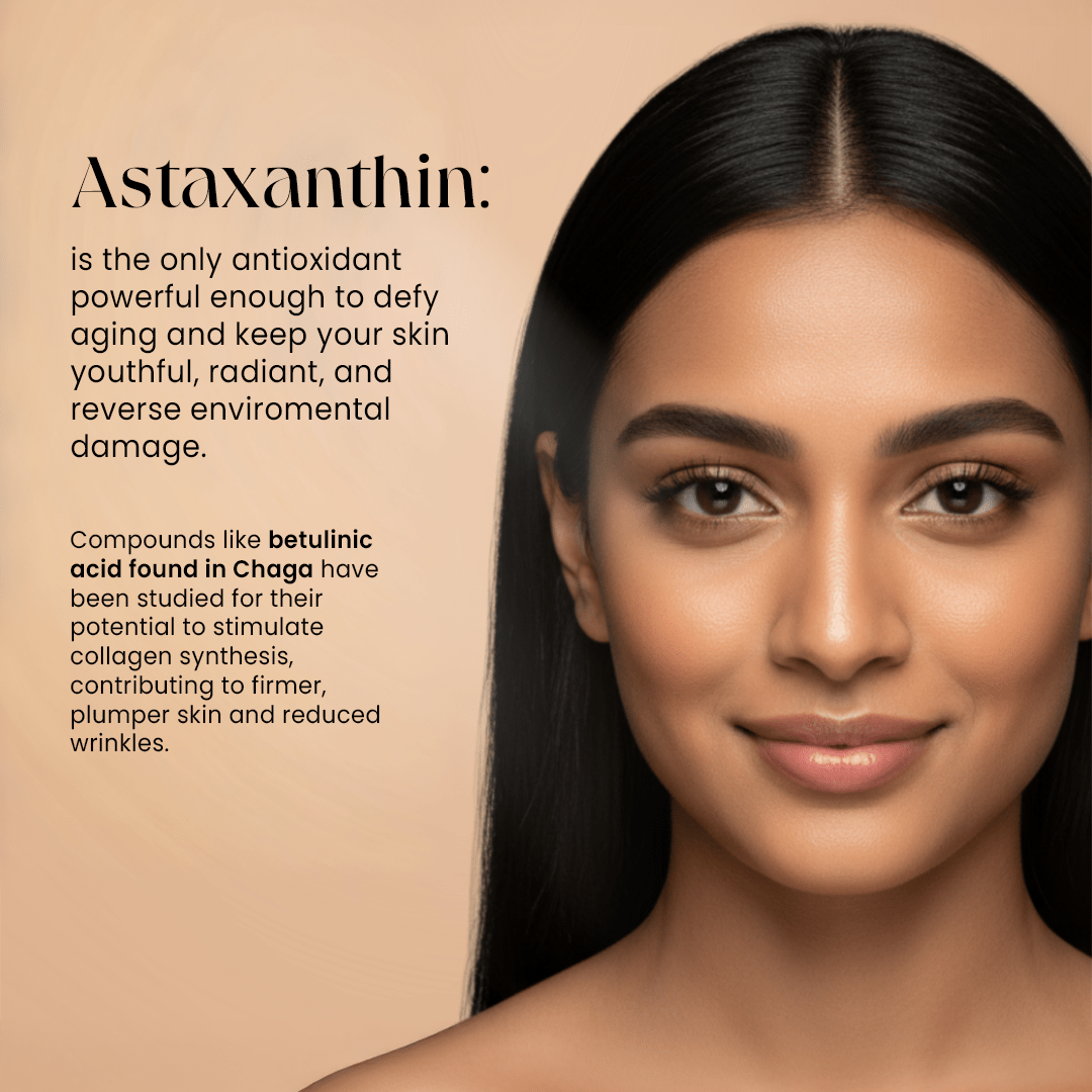 Suyu India Astaxanthin Illuminating Night Serum