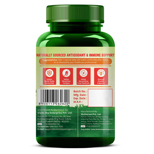 Himalayan Organics Plant Based Vitamin C + Zinc Double Immune Support Vegetarian Capsules