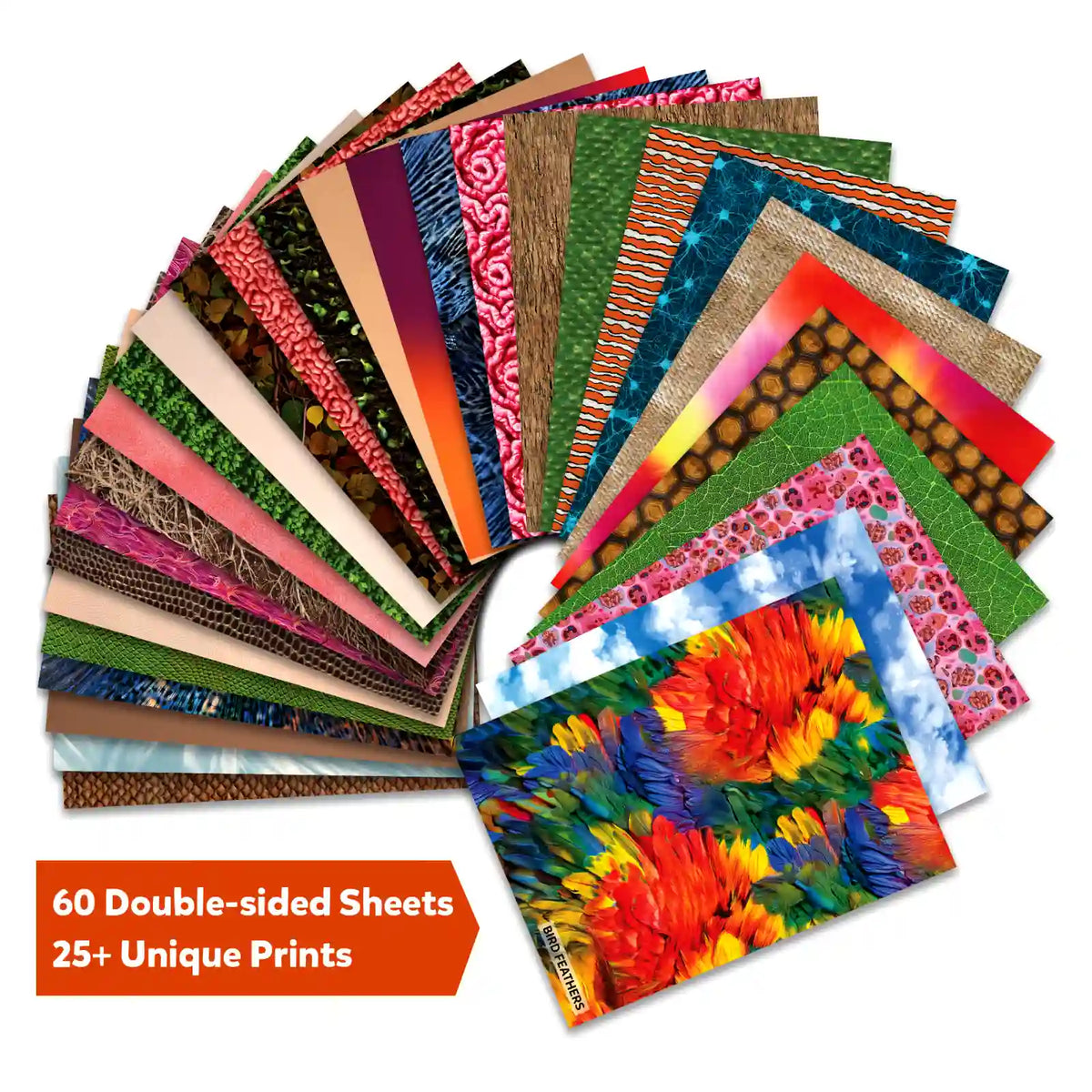 Skillmatics Clever Prints Life Science Construction Paper 60 Sheets
