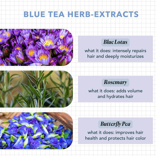 Paradyes Blue Lotus Tea Hair Perfume
