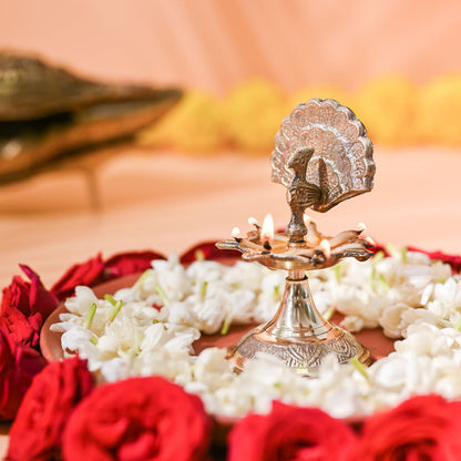 Samskara Home Paravani Peacock Oil lamp