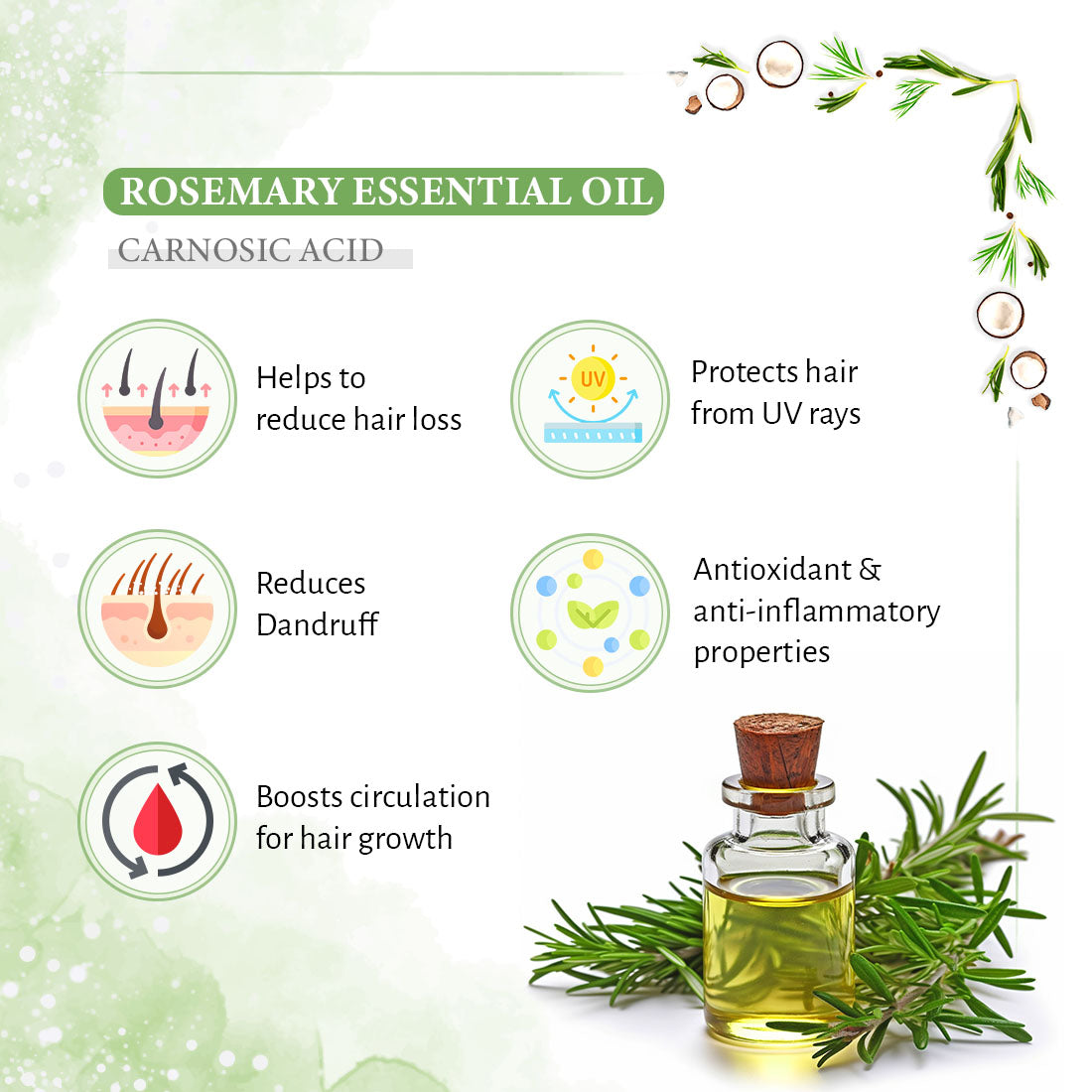 Keya Seth Aromatherapy Rosemary Tea Tree Coconut Serum & Shampoo Combo
