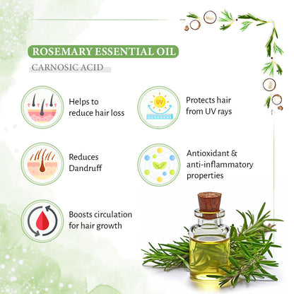 Keya Seth Aromatherapy Rosemary Tea Tree Coconut Serum & Shampoo Combo