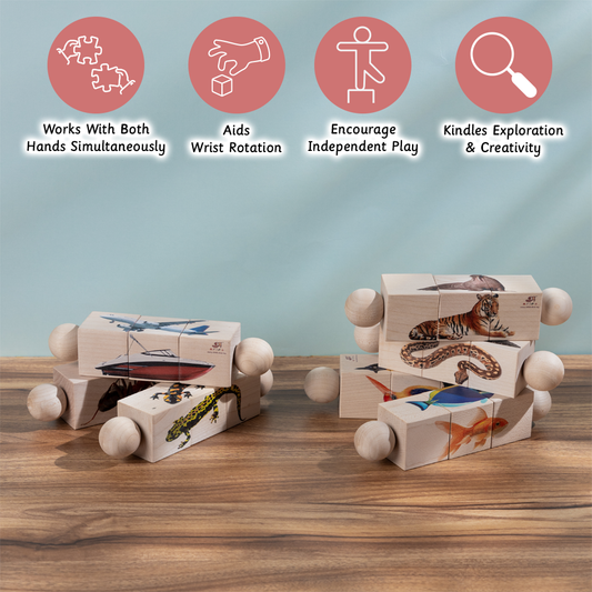 Ariro Toys Rotating Puzzle - Fish
