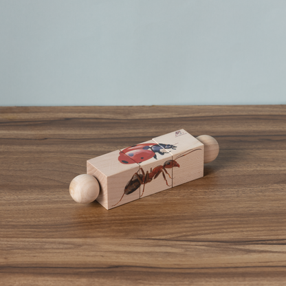 Ariro Toys Rotating Puzzle - Insects