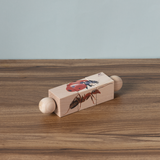 Ariro Toys Rotating Puzzle - Insects