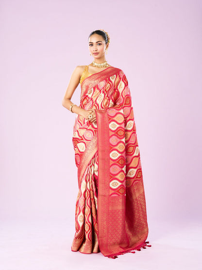 Mohey Royalty in Pink Saree