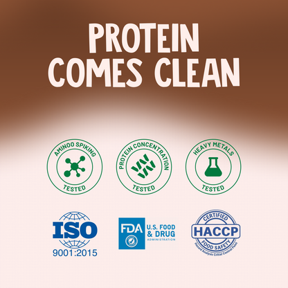 Alpino Trial Pack Supernatural Peanut Protein Powder Cold Coffee 