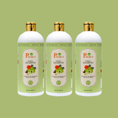 payal-herbals PAYAL'S HERBAL SHAMPOO COMBO product front view buy online