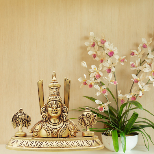 Brass Showpiece Tirupati Bala Ji Statue 1.4Kg - PUSHMYCART