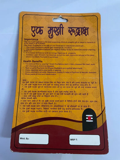 Natural Certified Nepali Rudraksha (Pack of 1) - PUSHMYCART